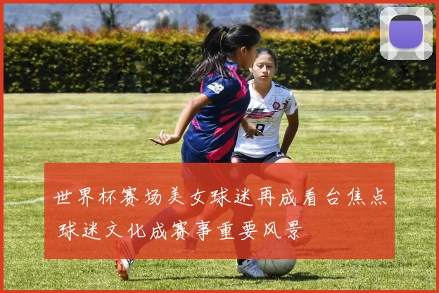 世界杯赛场美女球迷再成看台焦点 球迷文化成赛事重要风景