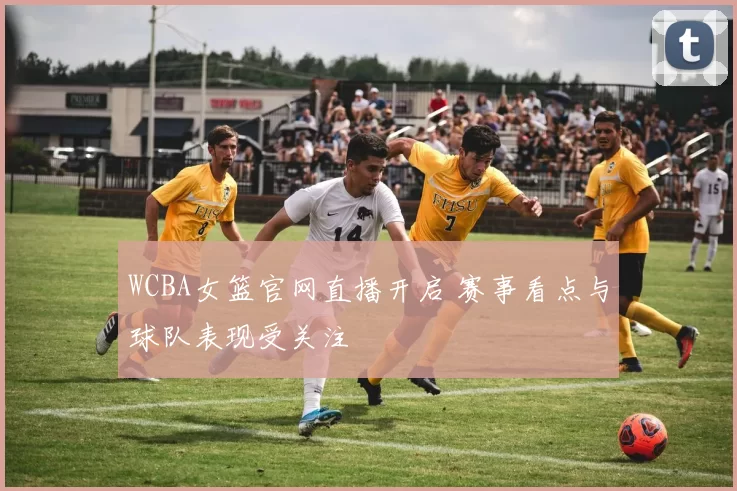 WCBA女篮官网直播开启 赛事看点与球队表现受关注