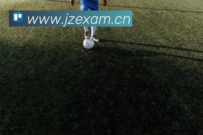 EMC易倍·(中国)体育官方网站平台服务体系